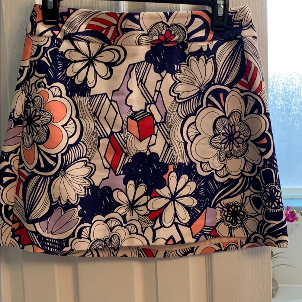 Express skirt